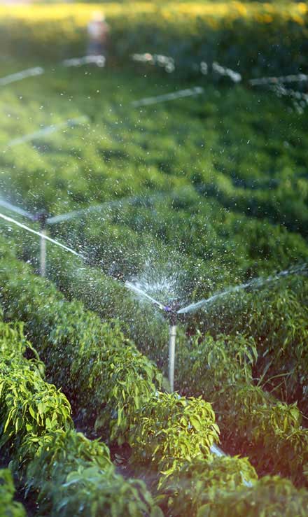 Gazal Landscaping Services, Inc. Irrigation System Repair