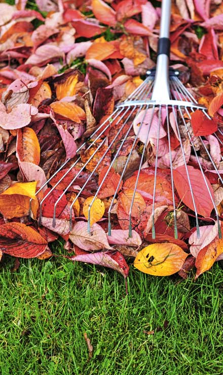 Gazal Landscaping Services, Inc. Fall Clean Up